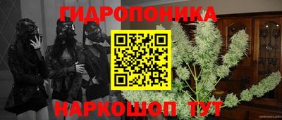 spice Нягань