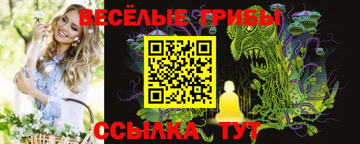 Галлюциногенные грибы прущие грибы  купить закладку  Уссурийск  Галлюциногенные грибы Psilocybine cubensis  Вход с VPN 